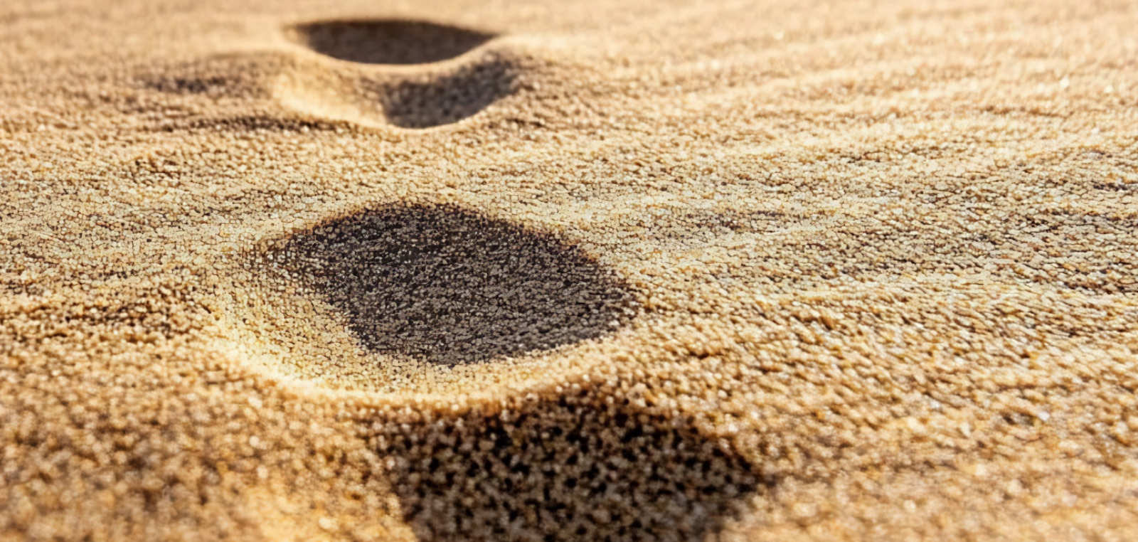 A single line of footprints across sand